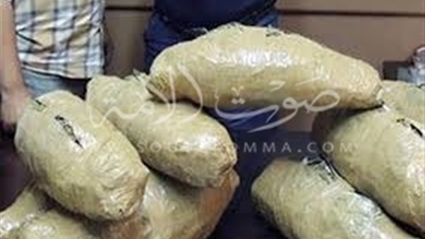 القبض على عاطل بحوزته 8 كيلو بانجو في دار السلام القبض على عاطل بحوزته 8 كيلو بانجو في دار السلام