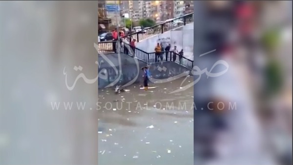 بالفيديو.. حمار ينقذ صاحبه من مياه الأمطار بالإسكندرية