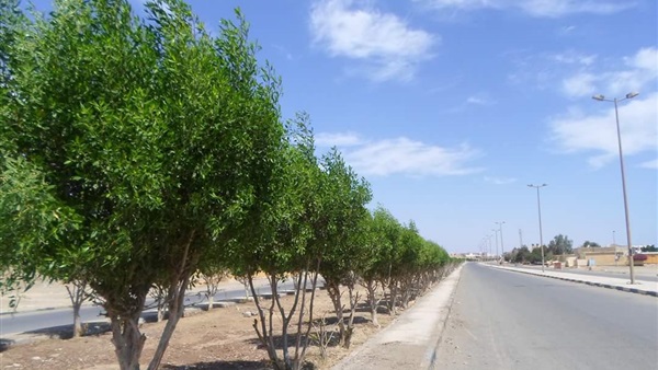 بدء فعاليات مبادرة «حلوة يابلدي» بقرية كوم بوها بمنفلوط بدء فعاليات مبادرة «حلوة يابلدي» بقرية كوم بوها بمنفلوط