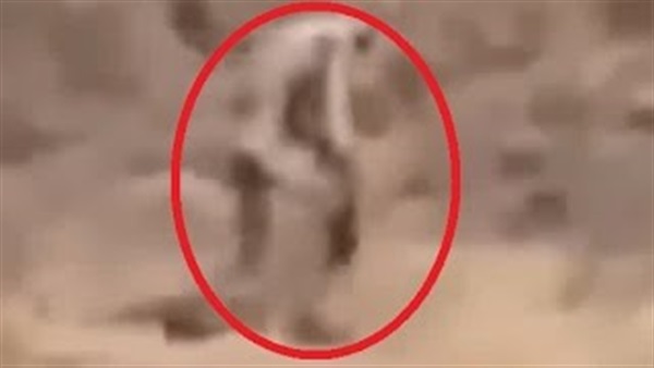 بالفيديو.. كائن غريب يثير رعب المواطنين في البرتغال بالفيديو.. كائن غريب يثير رعب المواطنين في البرتغال