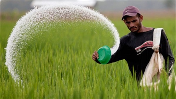 «الزراعة»: توريد مليون و393 ألف طن من الأسمدة للموسم الصيفي  