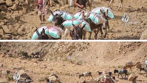 علي محسن يؤكد إنجاز المرحلة الأولى من فك الحصار عن تعز