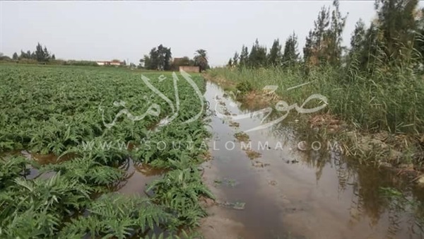 بالصور: كارثة جديدة بالبحيرة بعد غرق 20 قرية بكفر الدوار بسبب الأمطار 