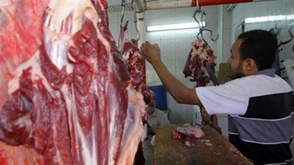 أسعار اللحوم والدواجن اليوم.. و«الكندوز» يسجل 50 أدنى سعر أسعار اللحوم والدواجن اليوم.. و«الكندوز» يسجل 50 أدنى سعر