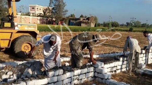 بالصور.. حملات مكبرة لإزالة التعديات على الأراضي الزراعية بكفر الشيخ بالصور.. حملات مكبرة لإزالة التعديات على الأراضي الزراعية بكفر الشيخ