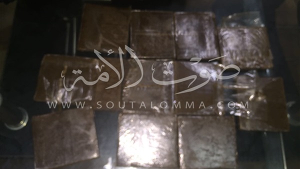 ٥٠٠ جرام حشيش تسقط "الديلر " فى قبضة امن الموانى ٥٠٠ جرام حشيش تسقط "الديلر " فى قبضة امن الموانى