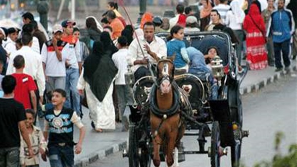 أغرب 100 جملة شعبية في مصر.. «بزرميط»: غير متناسق.. «يالهوى»: يا لهف قلبى.. «غلس»: ظلمة آخر الليل.. «مجانص» للتعبير عن الضخامة..«منشكح»: متكيف مع الوضع.. و«عنطزة»: كلمة تركى تعنى «التكبر»