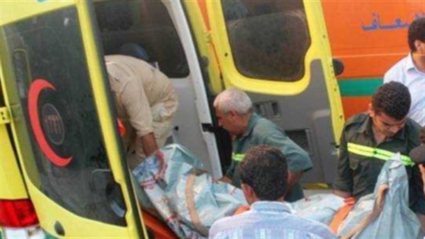 إصابة 3 أشخاص أثر اصطدام أتوبيس بقرية المنير في الشرقية 