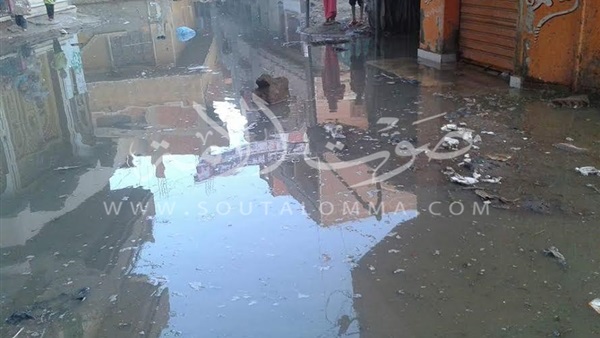بالصور.. أمطار غزيرة علي مدينة تلا بالمنوفية بالصور.. أمطار غزيرة علي مدينة تلا بالمنوفية