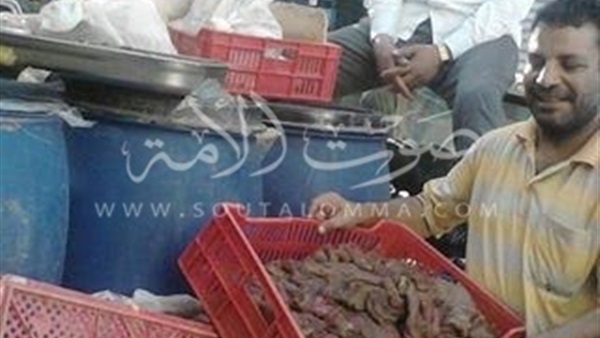 بالصور.. ضبط 325 كيلو لحوم فاسدة بمطعم سوري بالإسماعيلية