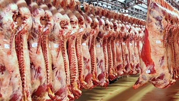 ضبط 220 كيلو لحوم غير صالحة للإستخدام قنا ضبط 220 كيلو لحوم غير صالحة للإستخدام قنا