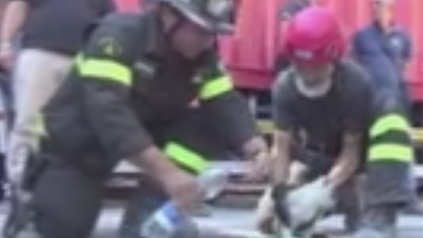 بالفيديو..السطات الإيطالية تنقل قط إلى مركز طبي لتقديم إسعافات له بالفيديو..السطات الإيطالية تنقل قط إلى مركز طبي لتقديم إسعافات له