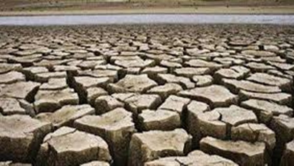 الجفاف يكبد القطاع الزراعي في تونس خسائر بـ 910 مليون دولار الجفاف يكبد القطاع الزراعي في تونس خسائر بـ 910 مليون دولار