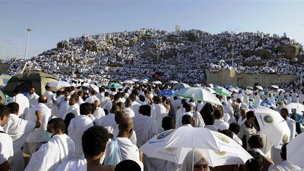 الرئيس التنفيذى لبعثة الحج : وصول 51 ألفا و49 حاجا للأراضى المقدسة