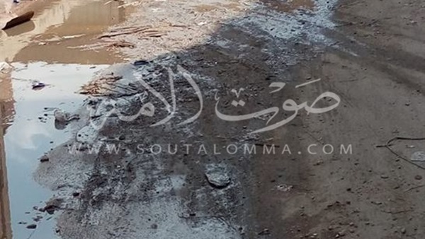 بالصور..أهالي المرابعين بكفر الشيخ يغرقون فى مياه الصرف الصحي بالصور..أهالي المرابعين بكفر الشيخ يغرقون فى مياه الصرف الصحي
