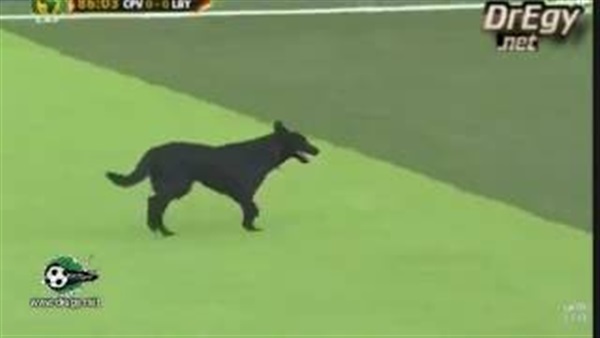 بالفيديو.. «كلب» يحرم منتخب ليبيا من هدف في مرمى الرأس الأخضر بالفيديو.. «كلب» يحرم منتخب ليبيا من هدف في مرمى الرأس الأخضر