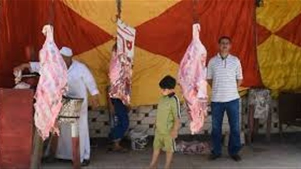 تموين الغربية: تكثيف المعروض من اللحوم الطازجة والمجمدة والمستوردة تموين الغربية: تكثيف المعروض من اللحوم الطازجة والمجمدة والمستوردة