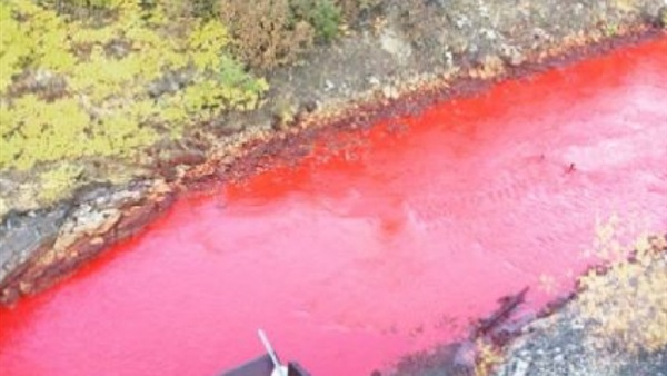 نهر يتحول إلى بركة دماء فى روسيا