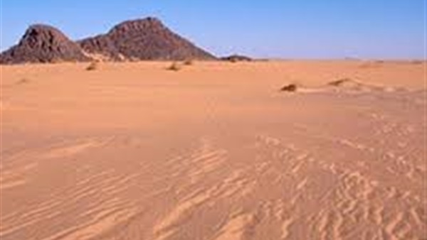 المغرب يؤكد التزامه "ضبط النفس" في الصحراء الغربية المغرب يؤكد التزامه "ضبط النفس" في الصحراء الغربية
