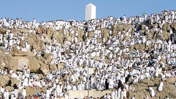 الرئيس التنفيذى لبعثة الحج: نجاح خطة تصعيد حجاج القرعة إلى عرفات