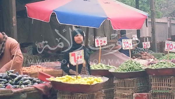 استقرار أسعار الخضروات.. و«الكوسة» تسجل 7 جنيهات استقرار أسعار الخضروات.. و«الكوسة» تسجل 7 جنيهات