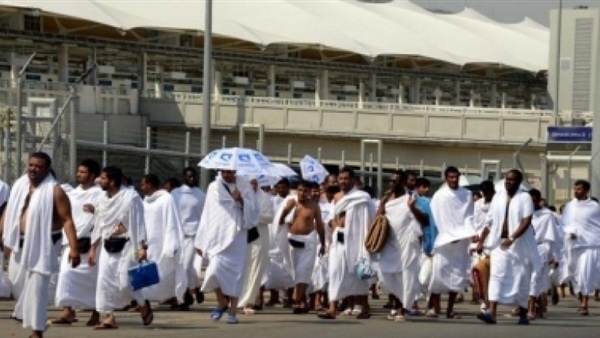 خادم الحرمين الشريفين يتكفل بتكاليف الهدي لـ 2400 حاج خادم الحرمين الشريفين يتكفل بتكاليف الهدي لـ 2400 حاج