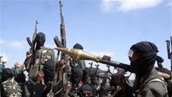 قتيل وثلاثة جرحى في هجوم على موكب في شمال شرق نيجيريا قتيل وثلاثة جرحى في هجوم على موكب في شمال شرق نيجيريا
