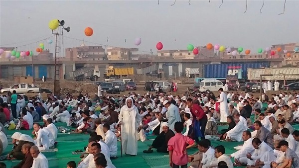 بالصور.. أضحية تحضر لمصلي العيد بشبين القناطر