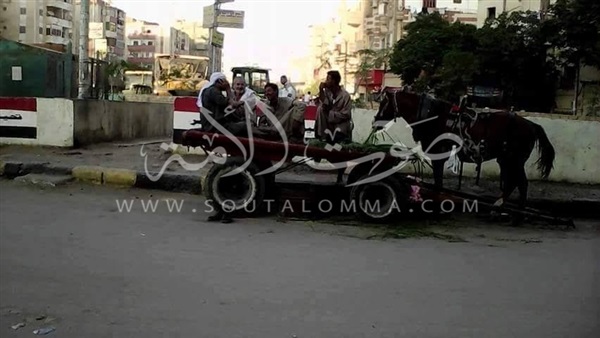 بالصور.. ميدان الشيخ حسن بالفيوم يتحول الي موقف لعربات الكارو بالصور.. ميدان الشيخ حسن بالفيوم يتحول الي موقف لعربات الكارو