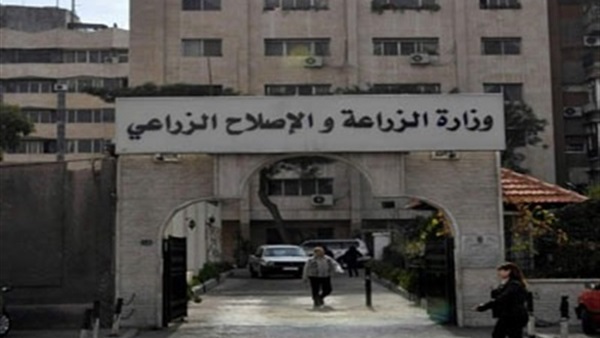 مفاجأة من «الزراعة» بشأن حظر روسيا استيراد الفاكهة