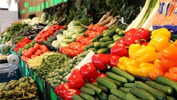 استقرار أسعار الخضراوات.. وكيلو البطاطس يسجل 4.4 جنيهات استقرار أسعار الخضراوات.. وكيلو البطاطس يسجل 4.4 جنيهات