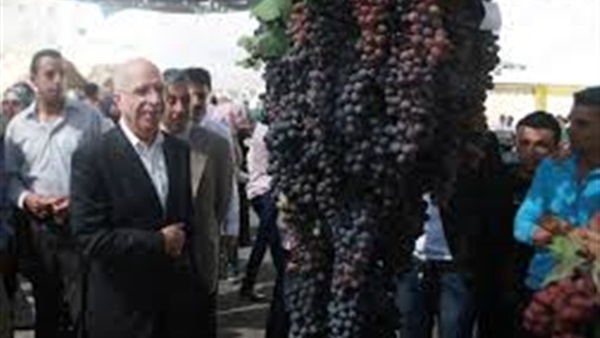 افتتاح مهرجان العنب الفلسطيني في الخليل افتتاح مهرجان العنب الفلسطيني في الخليل