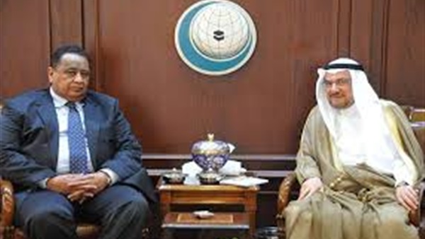 الأمين العام لمنظمة التعاون الإسلامي يلتقي وزير الخارجية السوداني الأمين العام لمنظمة التعاون الإسلامي يلتقي وزير الخارجية السوداني
