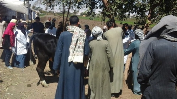 قافلة طبية بيطرية تجوب قرية منية السباع بمدينة بنها