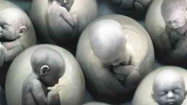 اجتماع عربي يبحث إعداد الصيغة النهائية لاتفاقية منع ومكافحة الاستنساخ البشري