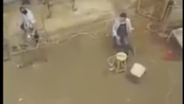 كما لم تراها من قبل.. شاهد كواليس خناقة «الأسطورة» مع «عصام النمر» كما لم تراها من قبل.. شاهد كواليس خناقة «الأسطورة» مع «عصام النمر»