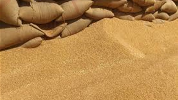 ضبط 4000 طن نخالة قمح مجهولة المصدر بالمنوفية ضبط 4000 طن نخالة قمح مجهولة المصدر بالمنوفية