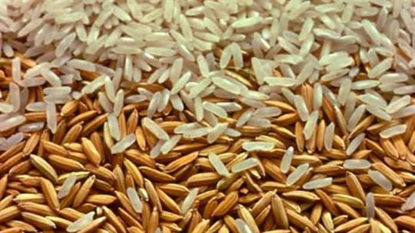إحباط تهريب 5 أطنان أرز لسوق السوداء ببني سويف إحباط تهريب 5 أطنان أرز لسوق السوداء ببني سويف