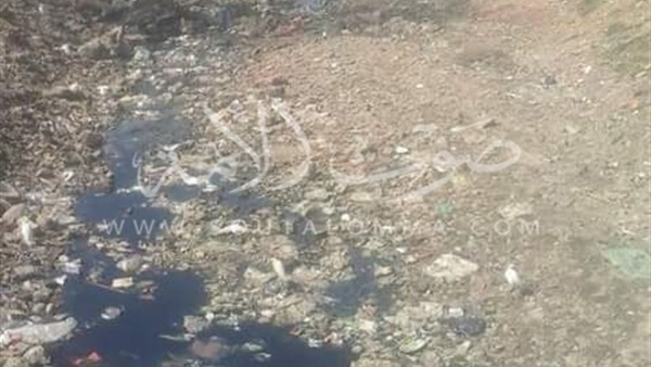 بالصور.. آلاف الأفدنة مهددة بالبوار بسبب نقص المياه فى المنوفية بالصور.. آلاف الأفدنة مهددة بالبوار بسبب نقص المياه فى المنوفية