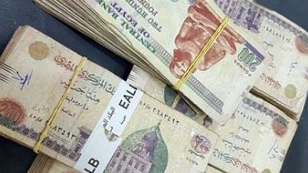 ضبط راكب مصري حاول تهريب 22 ألف جنيه إلى جدة ضبط راكب مصري حاول تهريب 22 ألف جنيه إلى جدة
