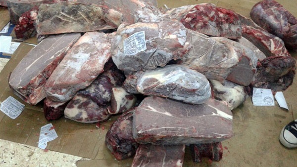 ضبط 1.5 طن مقطعات لحوم مجهولة المصدر داخل مفرمة بالطالبية ضبط 1.5 طن مقطعات لحوم مجهولة المصدر داخل مفرمة بالطالبية