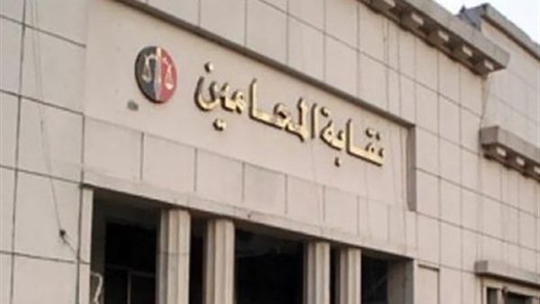 بالأسماء.. الأعضاء الفائزين بمجلس نقابة المحامين بالأسماء.. الأعضاء الفائزين بمجلس نقابة المحامين