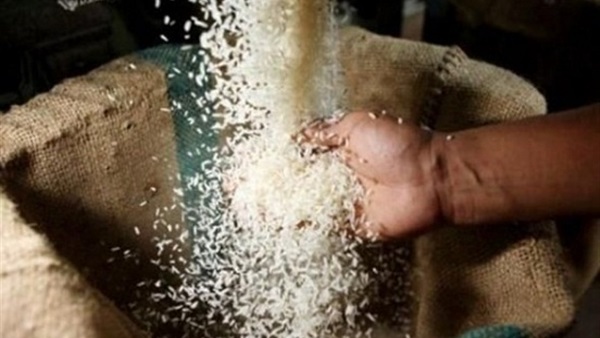 ضبط ٢٥ طن أرز شعير قبل بيعها بالسوق السوداء 