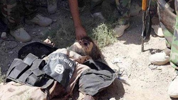 مقتل قيادي بارز بـ«داعش» جنوب الموصل مقتل قيادي بارز بـ«داعش» جنوب الموصل