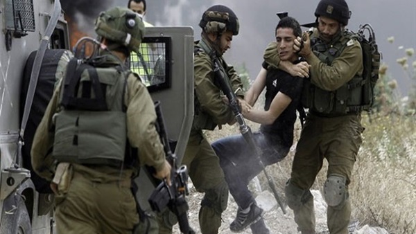 قوات الاحتلال الإسرائيلي تعتقل 24 فلسطينيا من الضفة قوات الاحتلال الإسرائيلي تعتقل 24 فلسطينيا من الضفة