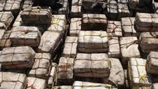 السلطات الأمريكية تعتقل 2 من أقارب الرئيس الفنزويلي لاتهامهما بتهريب مخدرات السلطات الأمريكية تعتقل 2 من أقارب الرئيس الفنزويلي لاتهامهما بتهريب مخدرات