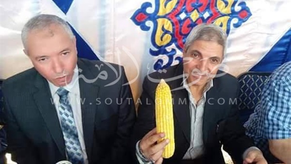 محافظة المنوفية تحصل علي المركز الأول في انتاجية محصول الذرة محافظة المنوفية تحصل علي المركز الأول في انتاجية محصول الذرة
