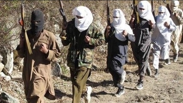 مسؤول أفغاني: مسلحو طالبان يخطفون ويقتلون 20 شخصا وسط البلاد