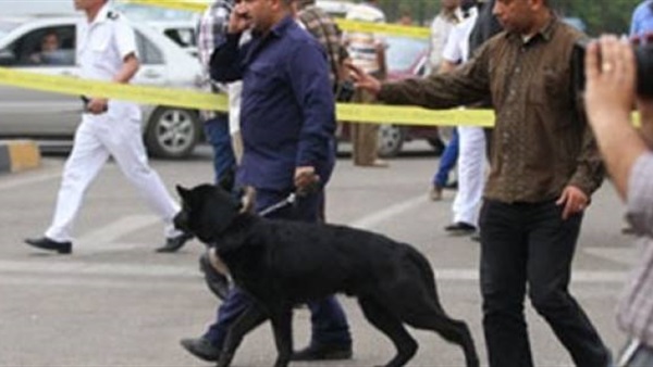 تخصيص سيارة برلمانية لخدمة كلاب وزير فيكتوري