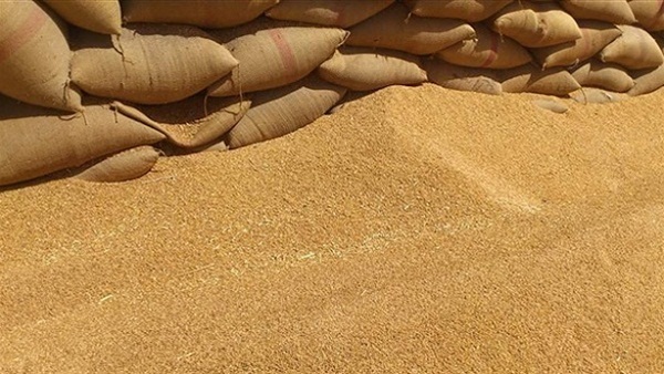 النيابة العامة تحقق في إختفاء 9 ألاف طن قمح ببني سويف النيابة العامة تحقق في إختفاء 9 ألاف طن قمح ببني سويف